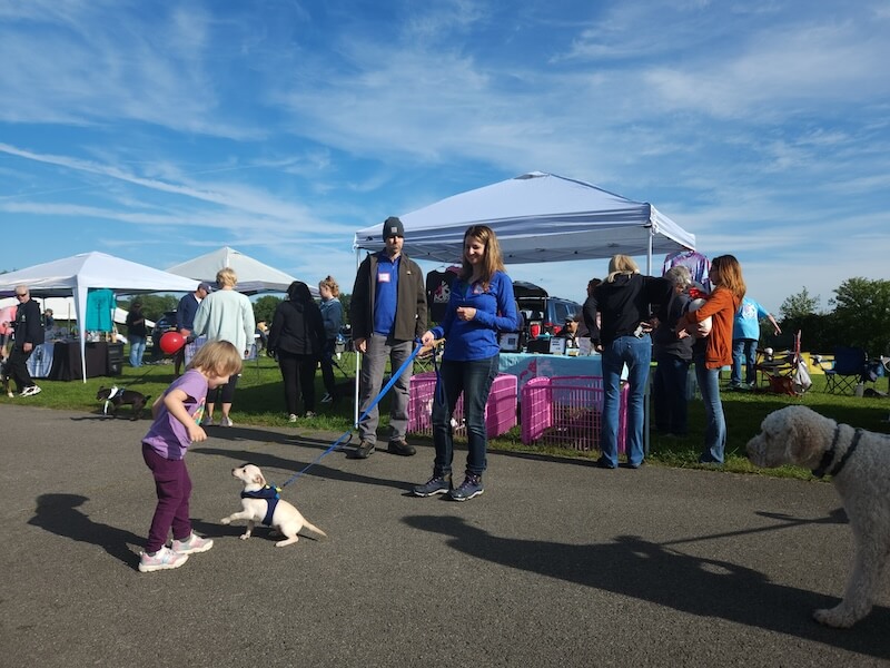 Canine Carnival 1