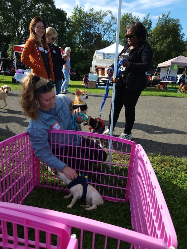 Canine Carnival 9