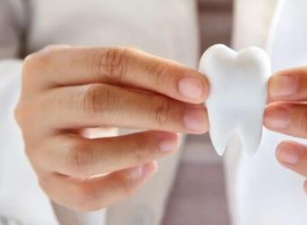 Fascinating, Surprising, Amazing & Little Known Fun Dental Facts